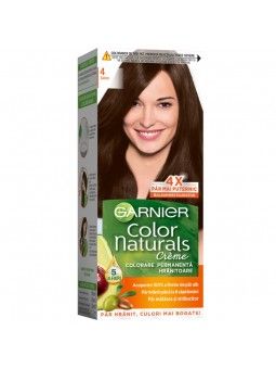 Vopsea permanenta Garnier...