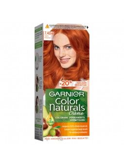Vopsea permanenta Garnier...